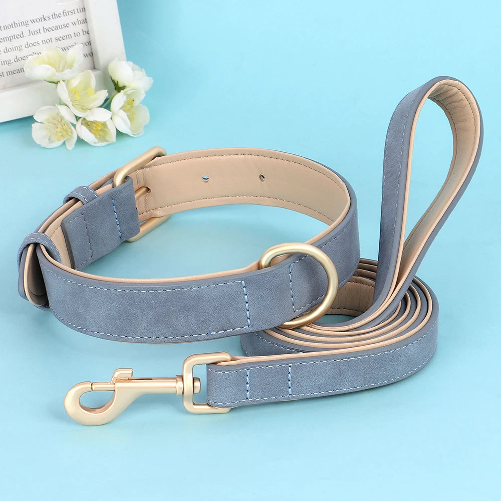 ThePawrdise™ Entry Bundle Blue - PU Leather 2